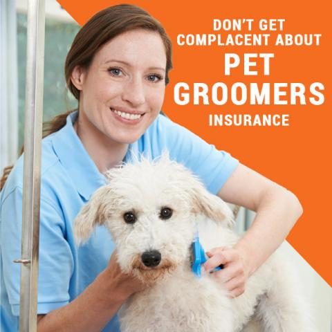 https://www.contractorcover.com.au/wp-content/uploads/2019/10/cc-article-don't-get-complacent-pet-groomers-insurance-480x480.jpg
