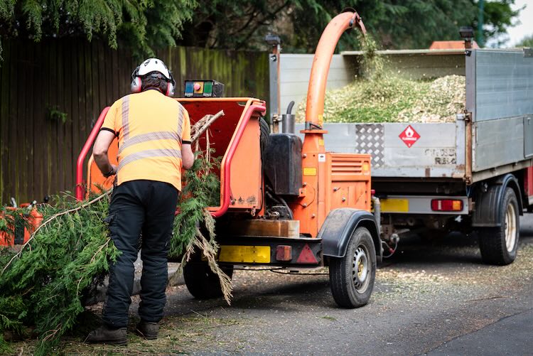 Male contractor with arborist insurance using a wood chipper
